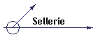 Sellerie